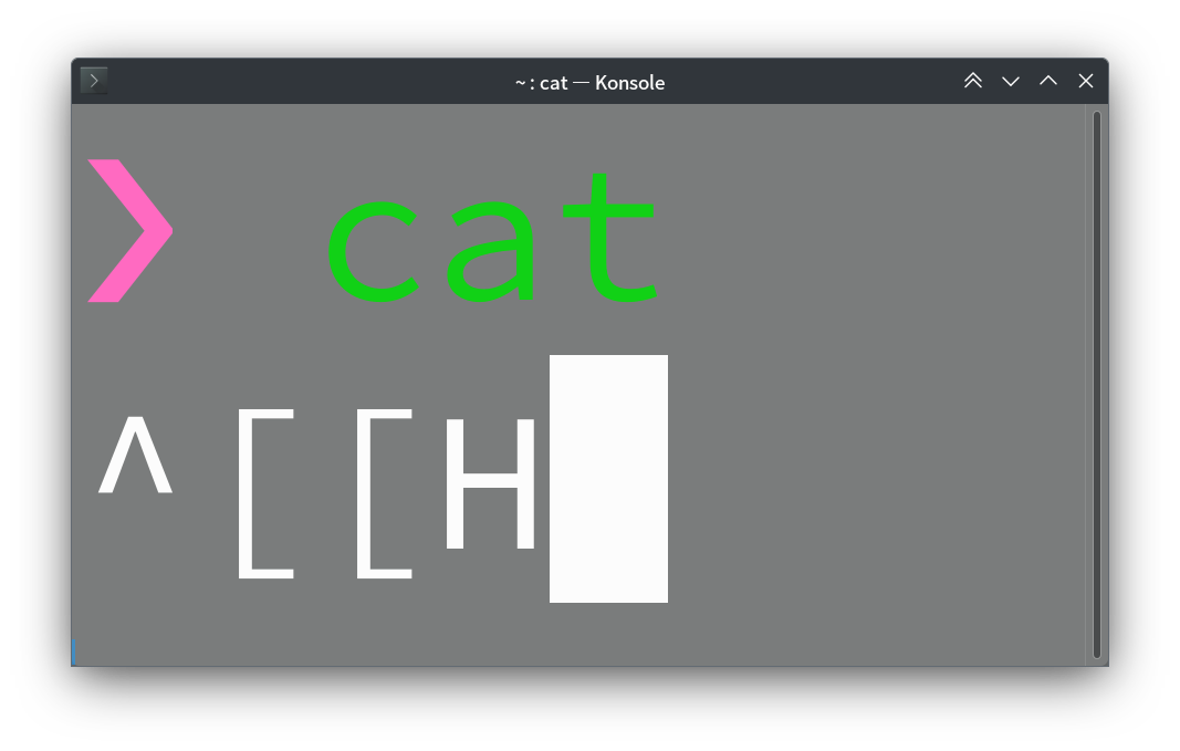 zsh-1